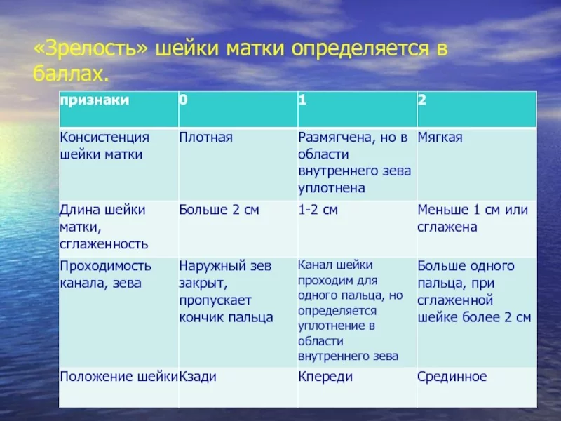 predvestniky-rody-3.jpg