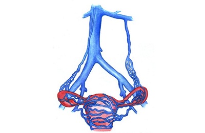 Поражение малого таза