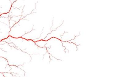 Капиллярная сетка