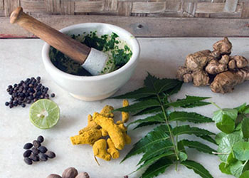 Пример фитотерапии