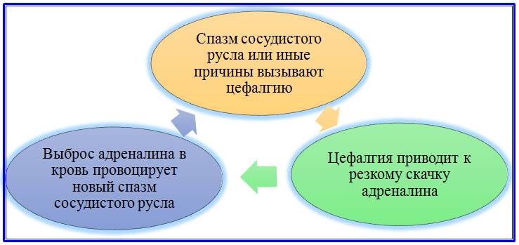 Диаграмма замкнутого цикла