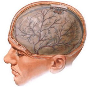 Дисциркуляторная энцефалопатия