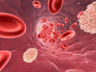 Холестерин в крови