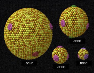 Холестерин