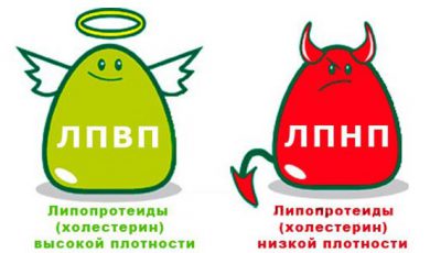Виды холестерина