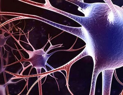 Изменения головного мозга при энцефалопатии