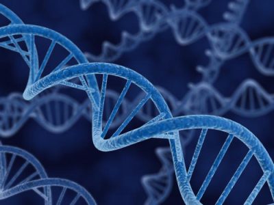 Наследственность