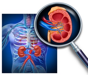 Патология почек