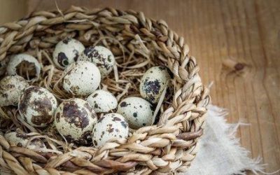 Яйца в лукошке