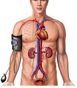 Признаки гипертензии
