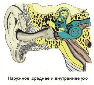 Проявление синдрома