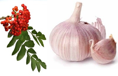 Рябина с чесноком