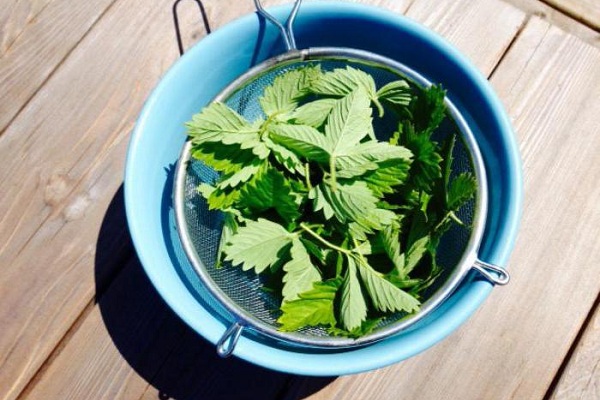 Листья малины для лечения акне