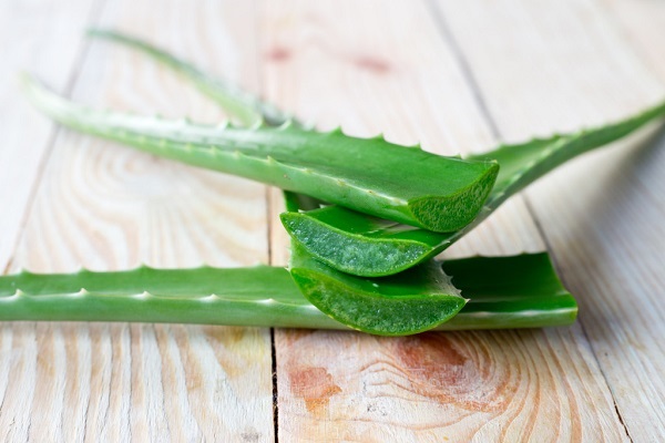 Алоэ Вера
