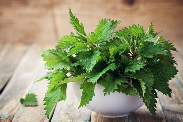 Крапива для лечения акне