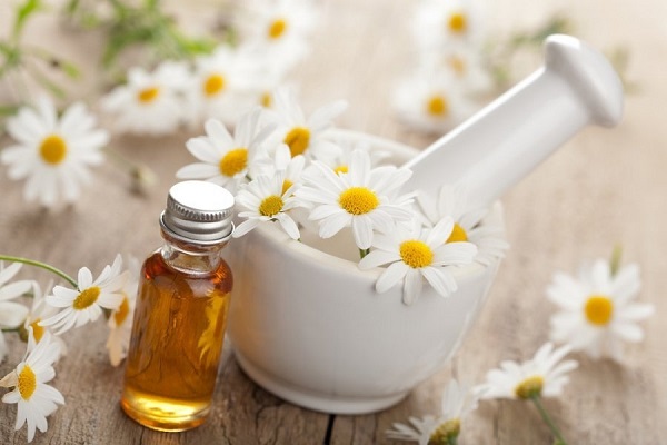 Цветки и масло ромашки