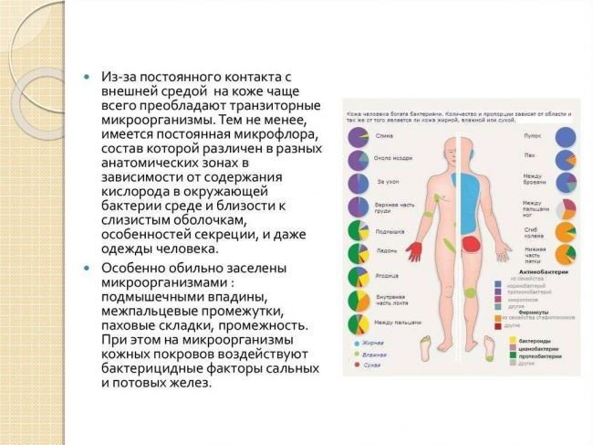 Чем вредна условно-патогенная флора и можно ли от нее избавиться