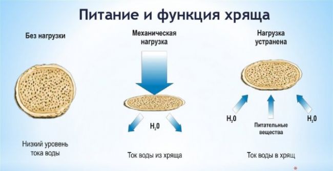 Артелар таблетки для суставов отзывы