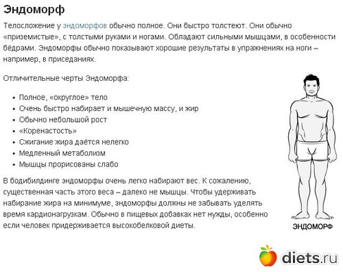 Питание для эндоморфа