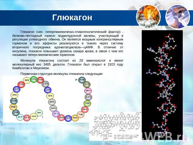 Гормон глюкагон и его роль в организме человека