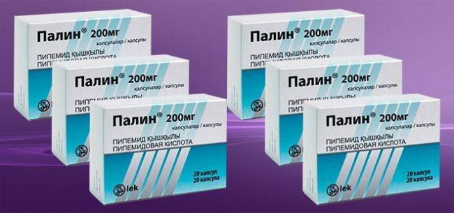 Палин (palin). аналоги и заменители, инструкция по применению, цена, отзывы