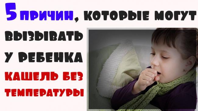 Затяжной кашель у взрослого: чем лечить, основные причины и симптомы