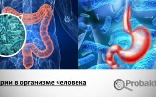 Для чего нужно принимать пробиотики – 8 фактов о их пользе для организма