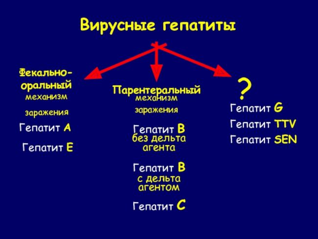 Гепатит а. причины, симптомы, признаки, диагностика и лечение патологии :: polismed.com