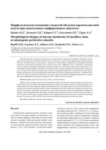 Одонтогенный синусит: причины, клиника, диагностика и принципы лечения