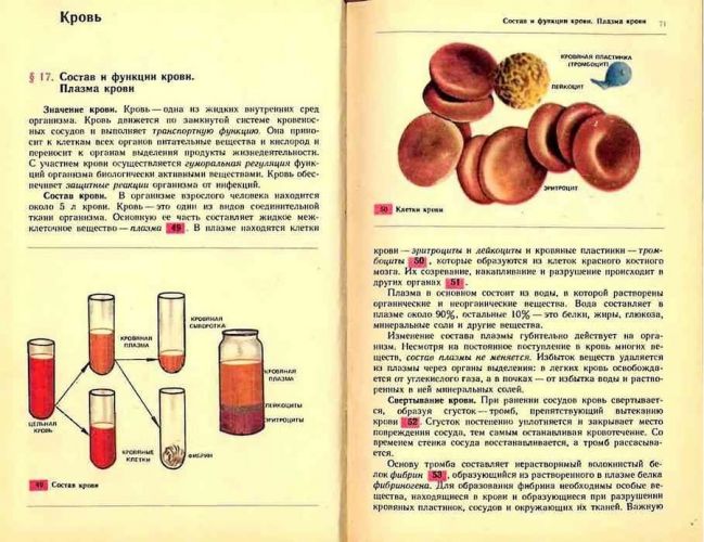 Заболевания по группам крови человека