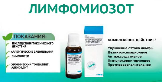 Препарат лимфомиозот: отзывы