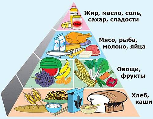 Правильное питание спортсмена: меню на неделю