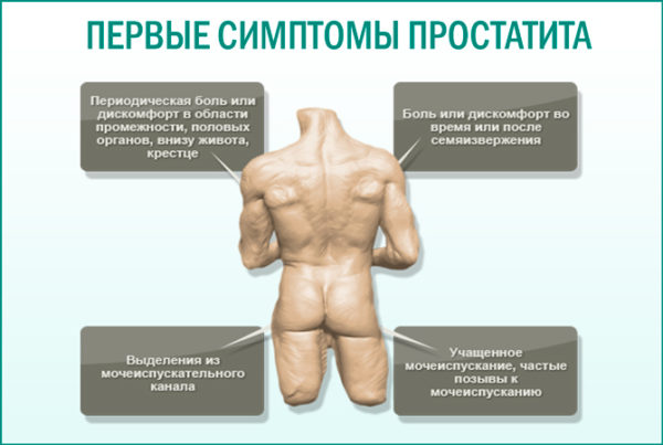 Помогает ли афала при простатите отзывы
