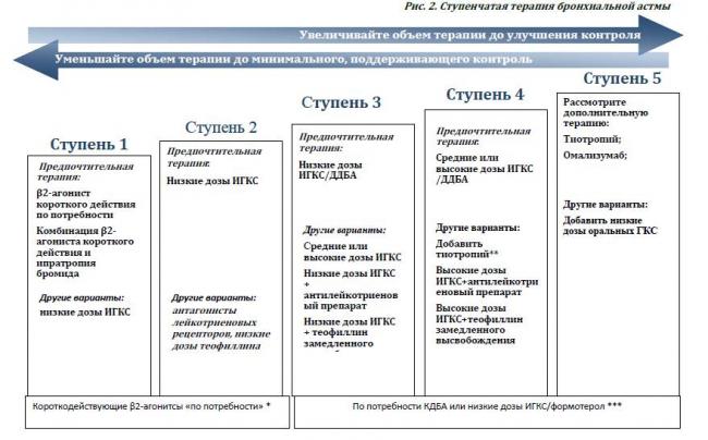 Cовременные антилейкотриеновые препараты при лечении астмы