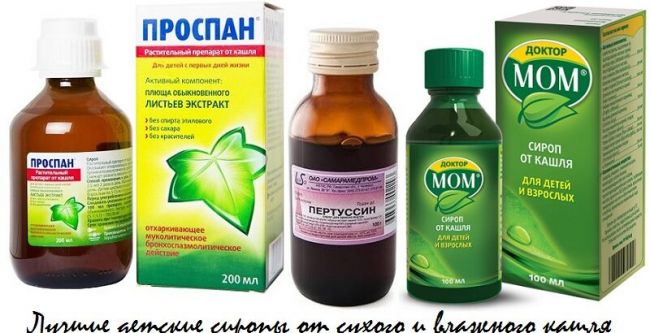 Лечение грудным сбором при бронхите у взрослых