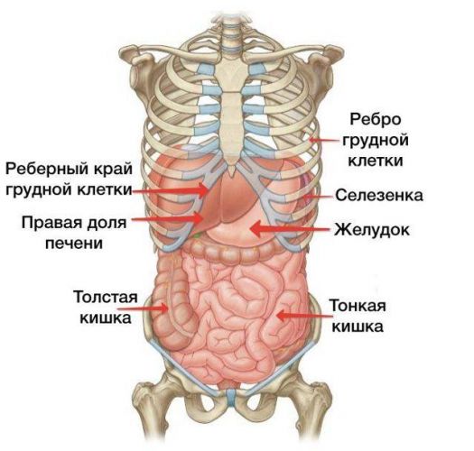 При кашле болит правый бок под ребрами что делать