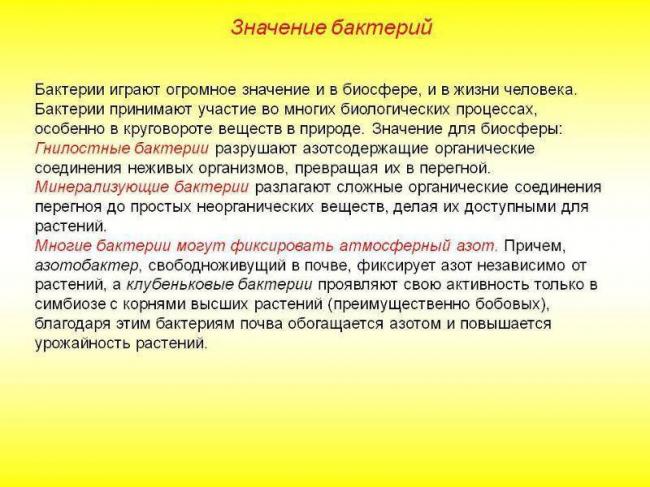 § 12. роль бактерий в природе и жизни человека