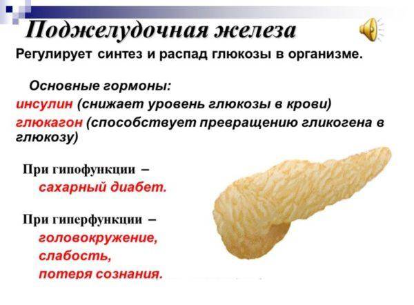 Гормон глюкагон что это за гормон, функции, где содержится, как вырабатывается