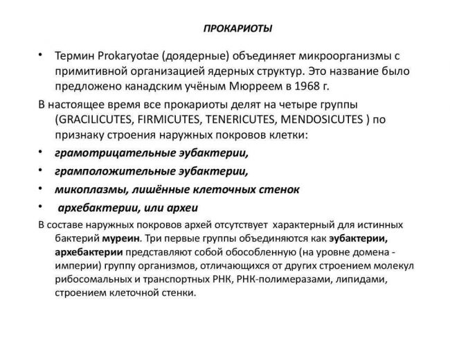 Царство бактерий. все о биологии