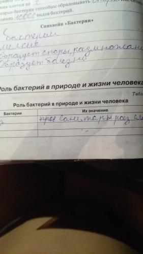 Роль бактерий в природе и жизни человека