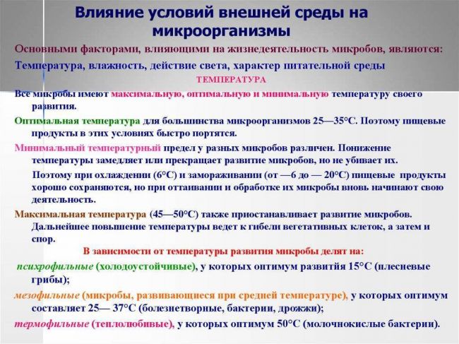 Полезные бактерии. роль и значение бактерий в жизни человека. фото