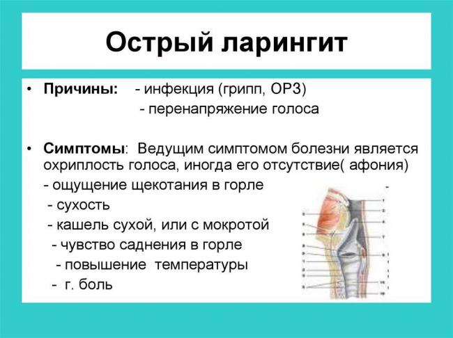 Пропал голос: в чем причина и как лечить в домашних условиях?