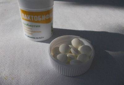 Какие пробиотики давать собаке топ 5 популярных препаратов