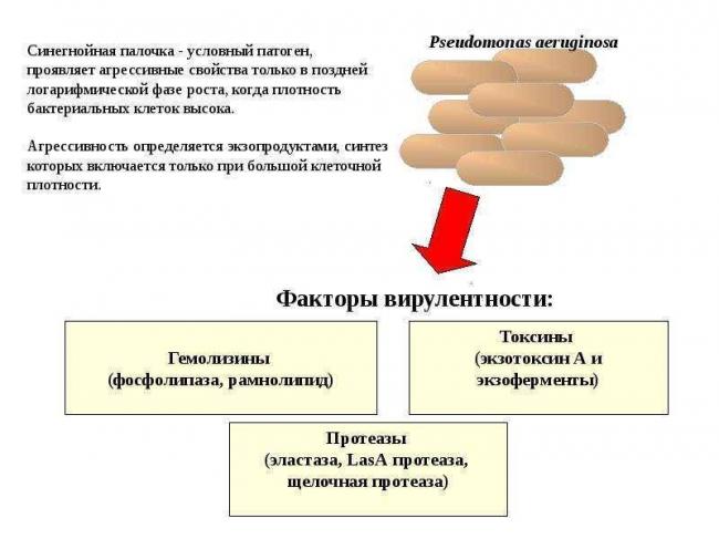 Методы определения активности антибиотиков и чувствительности к ним микроорганизмов. кафедра лабораторной диагностики ипо бгму цветкова а.в. - презентация