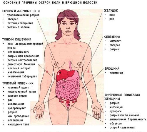 Боли в спине - разновидности, лечение у невролога, советы