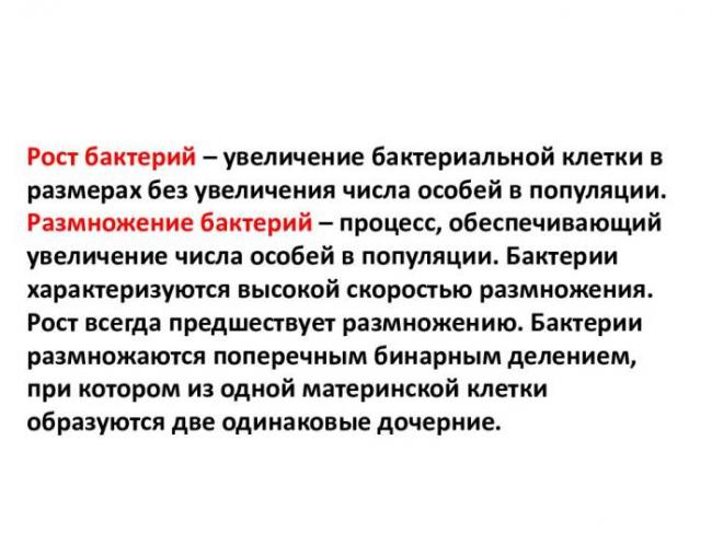 Основные виды деления бактерий и факторы ограничения роста популяции