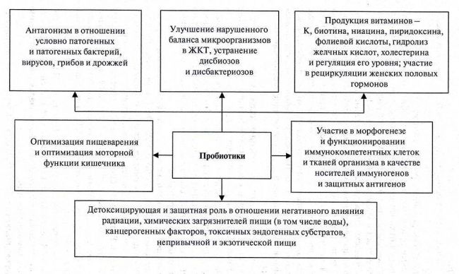8 фактов о пользе кисломолочных продуктов для организма человека + возможный вред