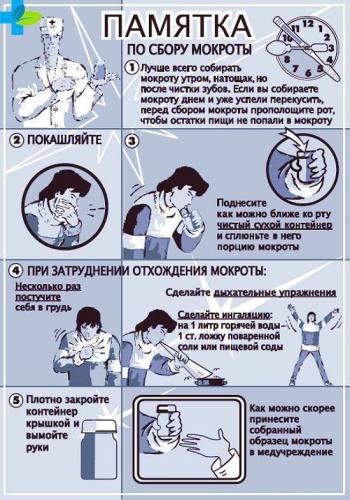 Анализ мокроты на туберкулез: где, как и сколько делается?
