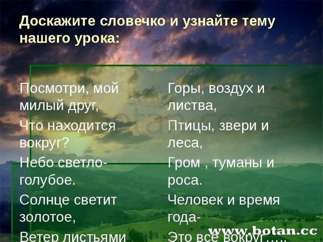 Царство бактерии общая характеристика