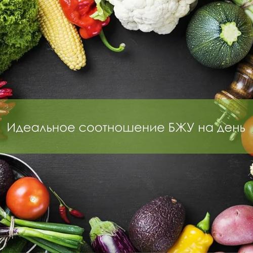 Фруктово белковая диета на 14 дней меню. белковая диета на 2 недели